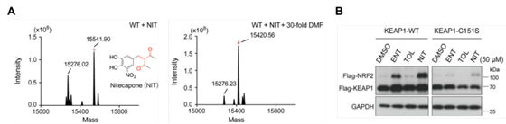 http://www.huanglab.org.cn/wordpress/wp-content/uploads/2024/02/wl_f3-1024x252.png